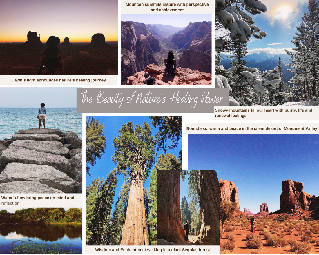 photo essay nature healing powers