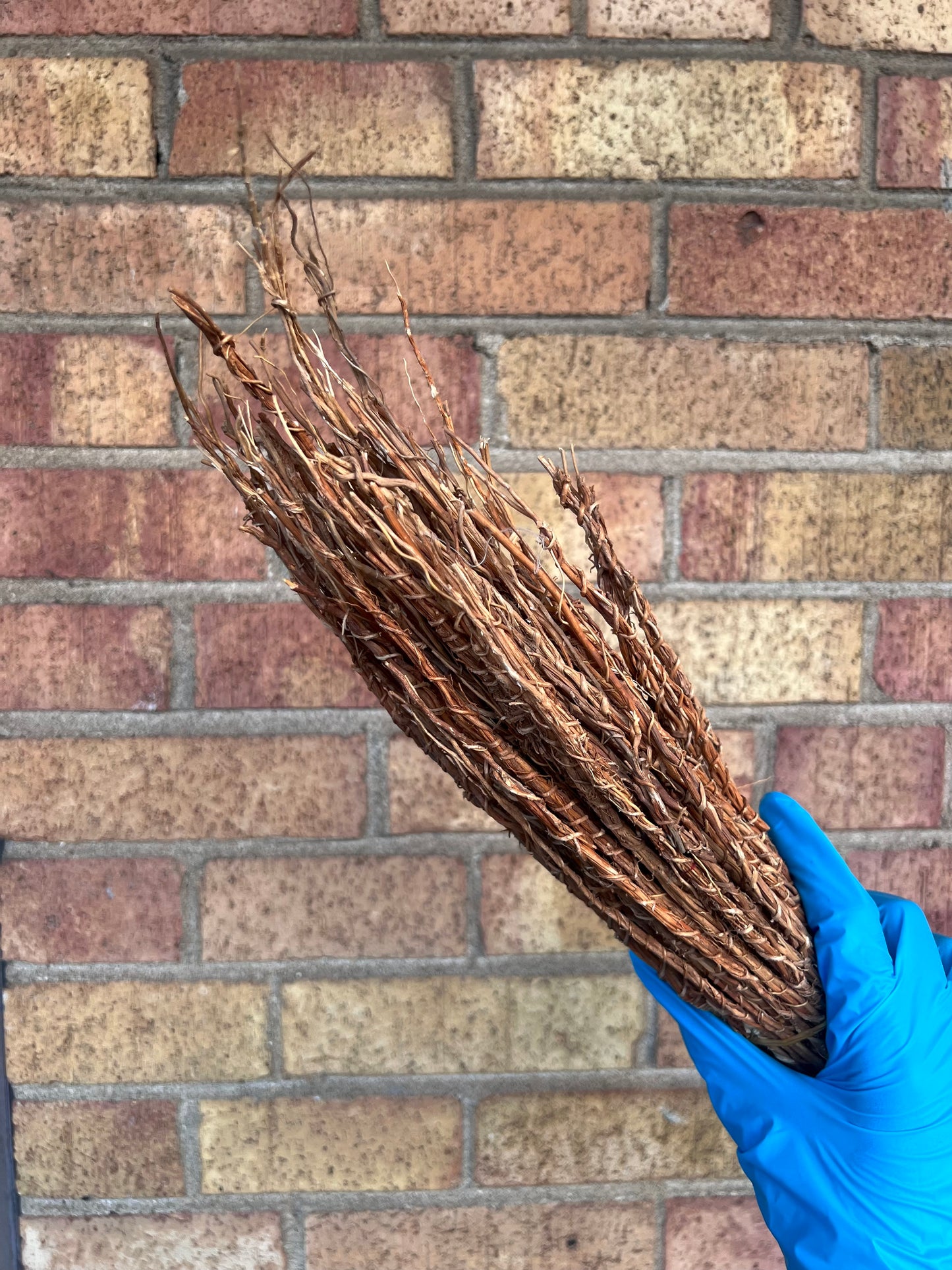 The Khamaré (Vetiver Roots) by T.U.C